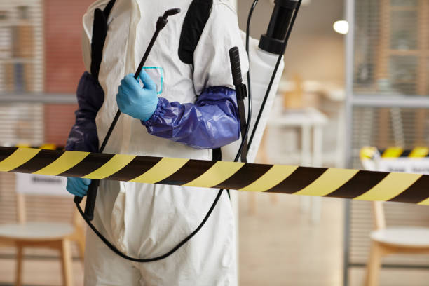 Professional Sewage Cleanup technician working in Marlborough, MA